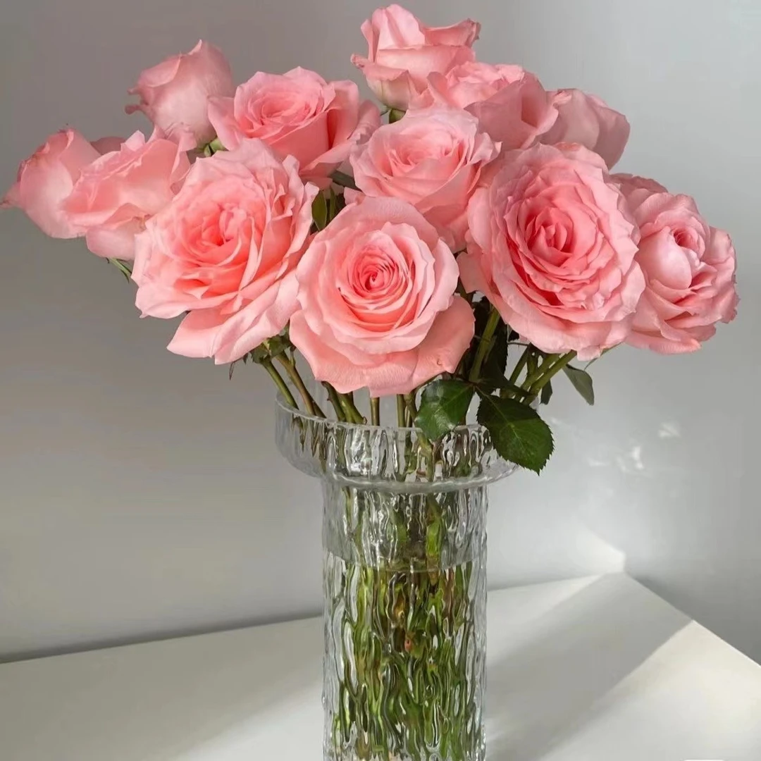 戴安娜玫瑰(1单包邮)云南鲜切花直发真花花束水养花节日礼物