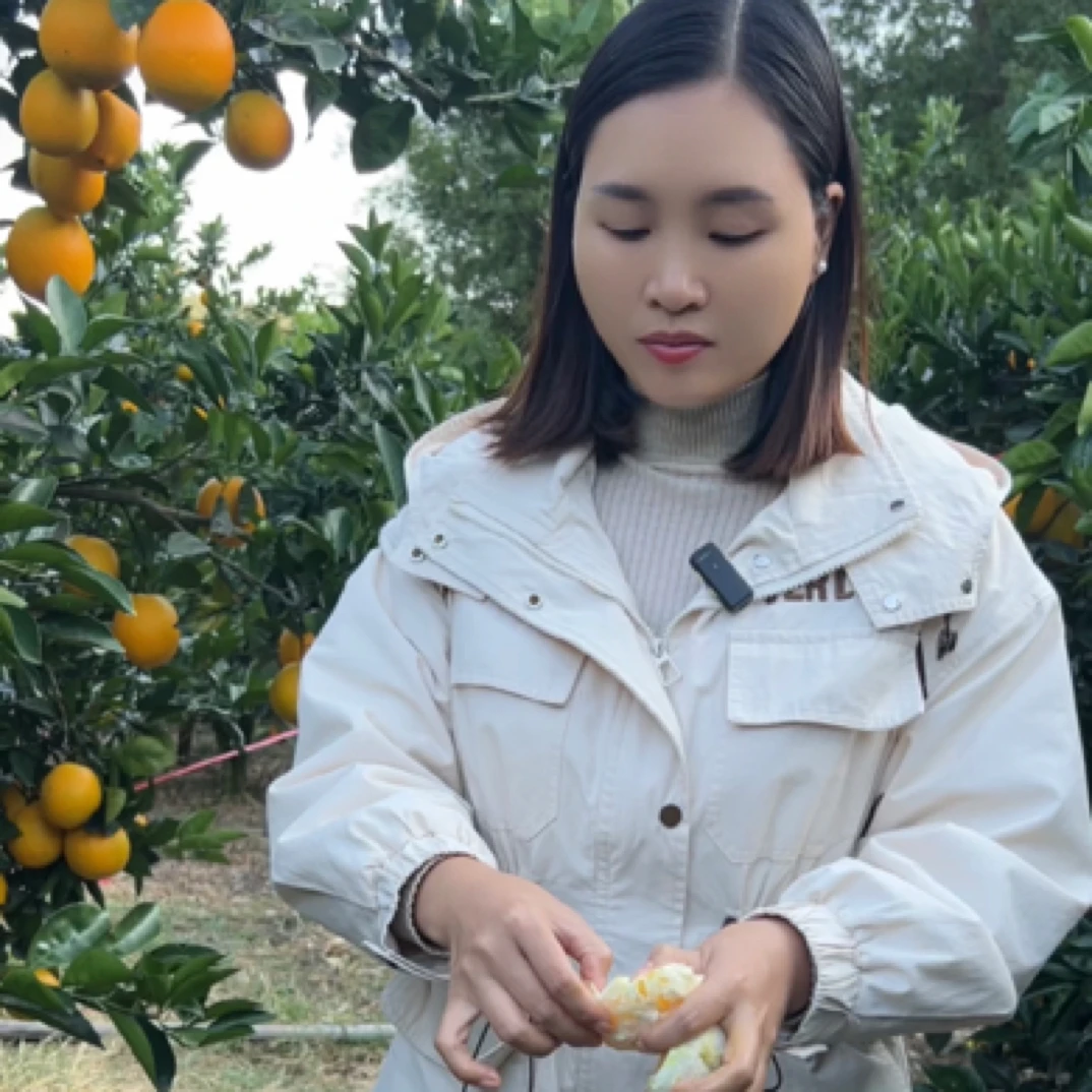 【上湾助农】正宗江西赣南脐橙当季新鲜水果整箱手剥橙赣州产地直发