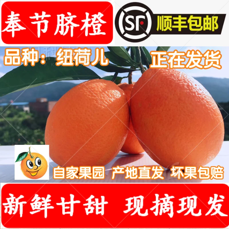 5斤10斤重庆奉节脐橙现摘孕妇水果整箱新鲜顺丰包邮产地直发