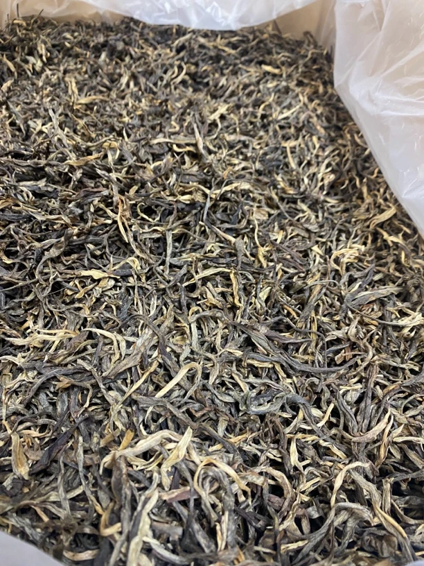 2025年老曼峨野生古树头春岩总私房茶400克散茶