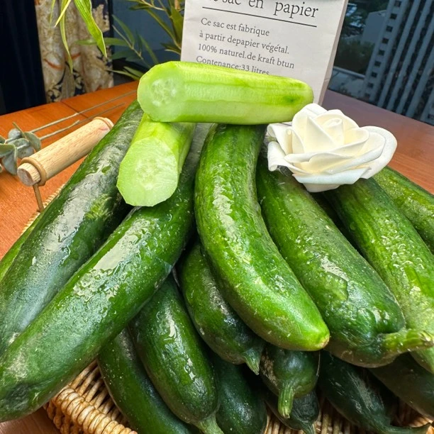 宁夏小黄瓜口感酥脆能吃出小时候的味道表皮翠绿无刺