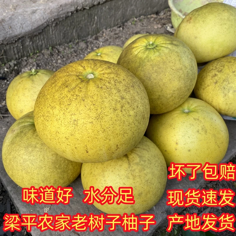 重庆梁平柚平顶柚白心柚新鲜梁山柚蜜柚麻柚子应季水果