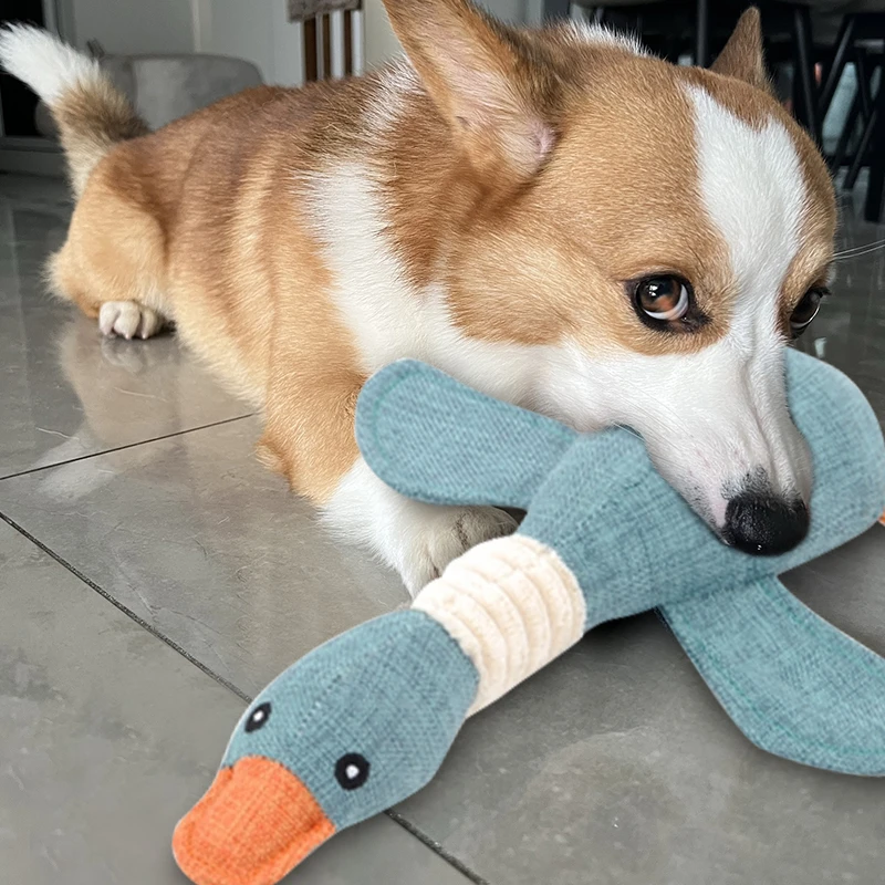 狗狗玩具磨牙耐咬解闷神器狗泰迪柯基幼犬小狗发声宠物犬消耗体力