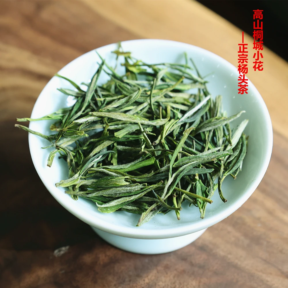 鸽妹原产地桐城小花茶叶2025年新茶正宗杨头高山茶正味兰花香绿茶