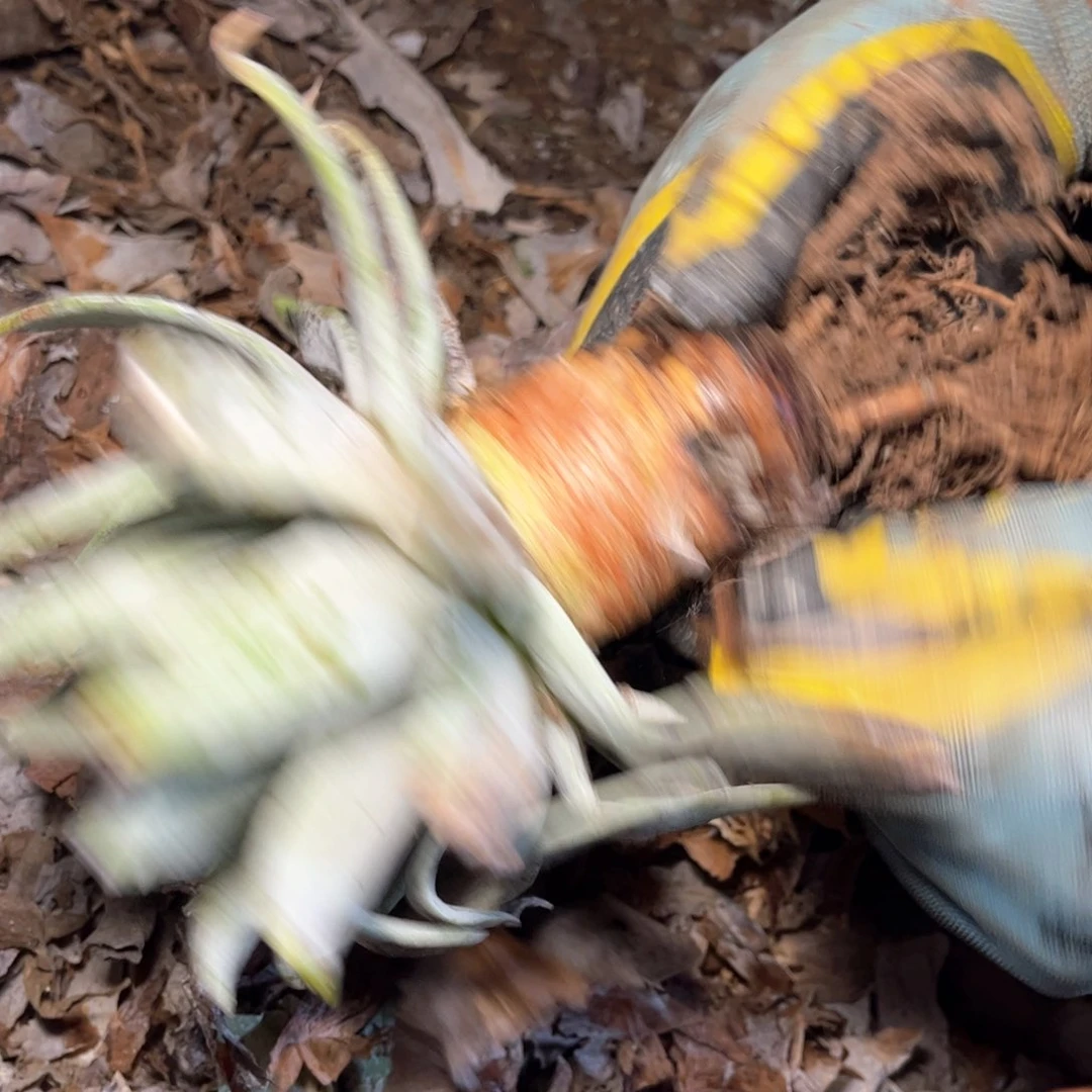 哈哈哈哈3027雪山