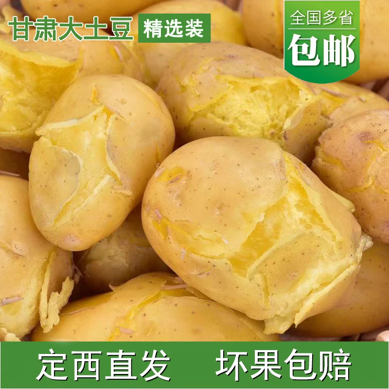 2023年甘肃定西土豆新鲜黄金薯沙地黄心农家粉面蔬菜包邮5斤/9斤