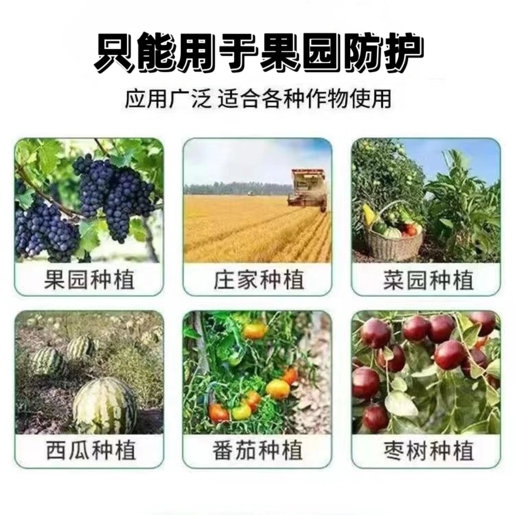 果园防鸟网西瓜地防鸟网苹果树防鸟网防风防鸟网大棚防护网尼龙