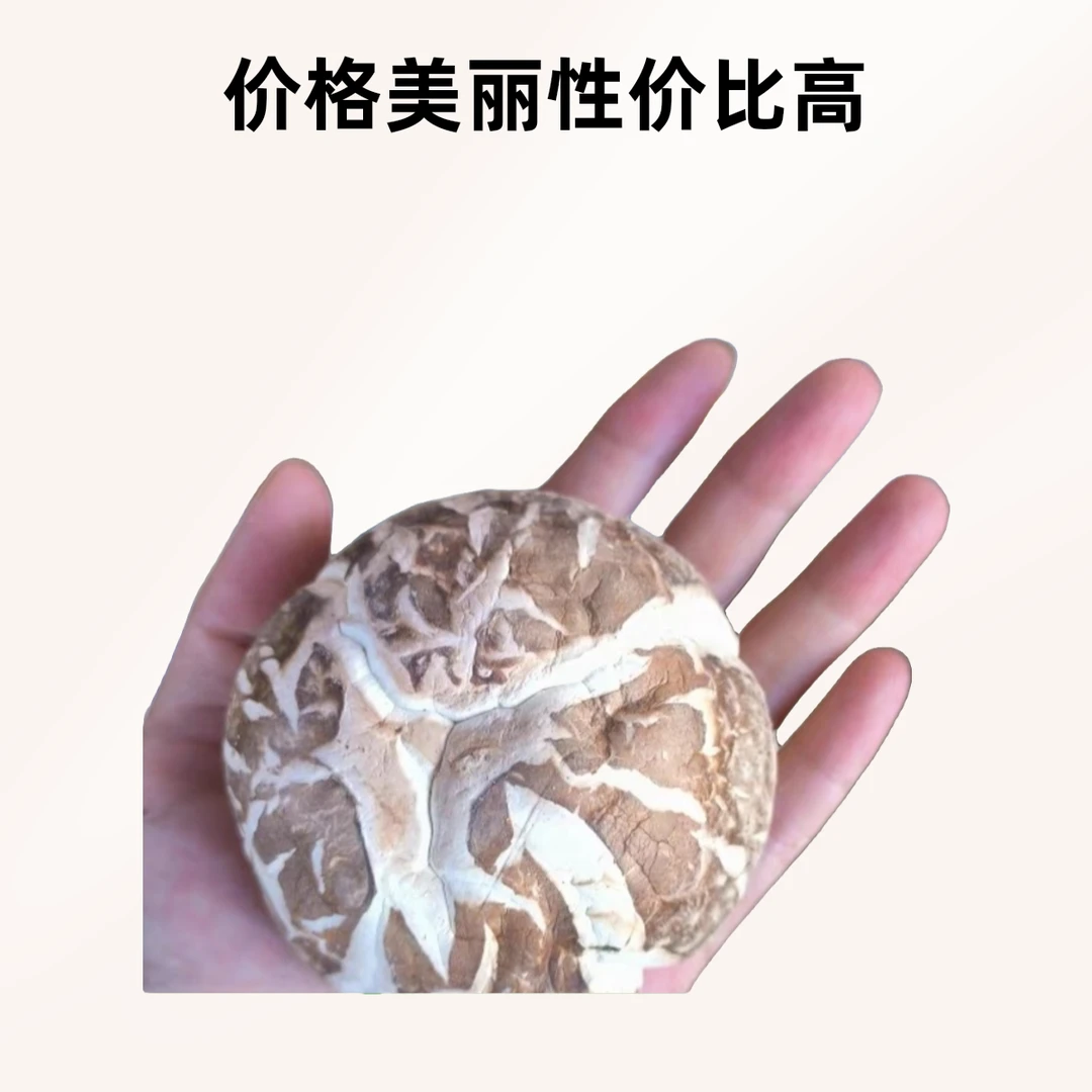 湖北特产剪脚花菇冬菇干货煲汤爆炒做馅鲜香美味香菇干香菇蘑菇