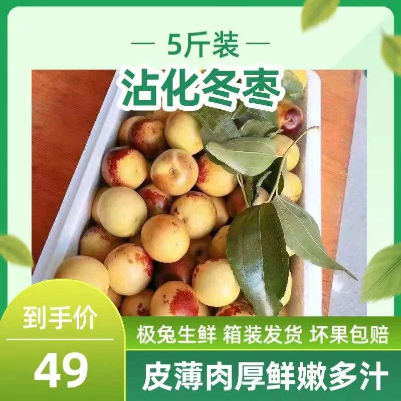 现摘【沾化冬枣】好吃嘎嘣脆冰糖心冬枣5斤装源产地发货
