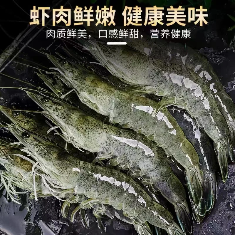 鲜活海虾  盐汪子虾 大虾  海鲜水产