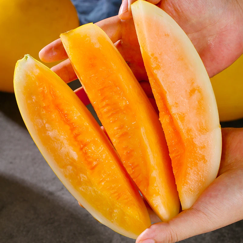 【产地直发】甘肃民勤蜜瓜沙漠密瓜整箱净重7-9斤新鲜水果坏果包赔