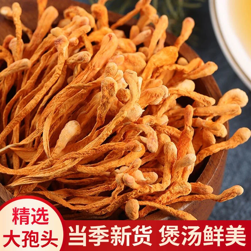 内蒙古虫草花250g食用饱满农产品女性男性新货精选煲汤