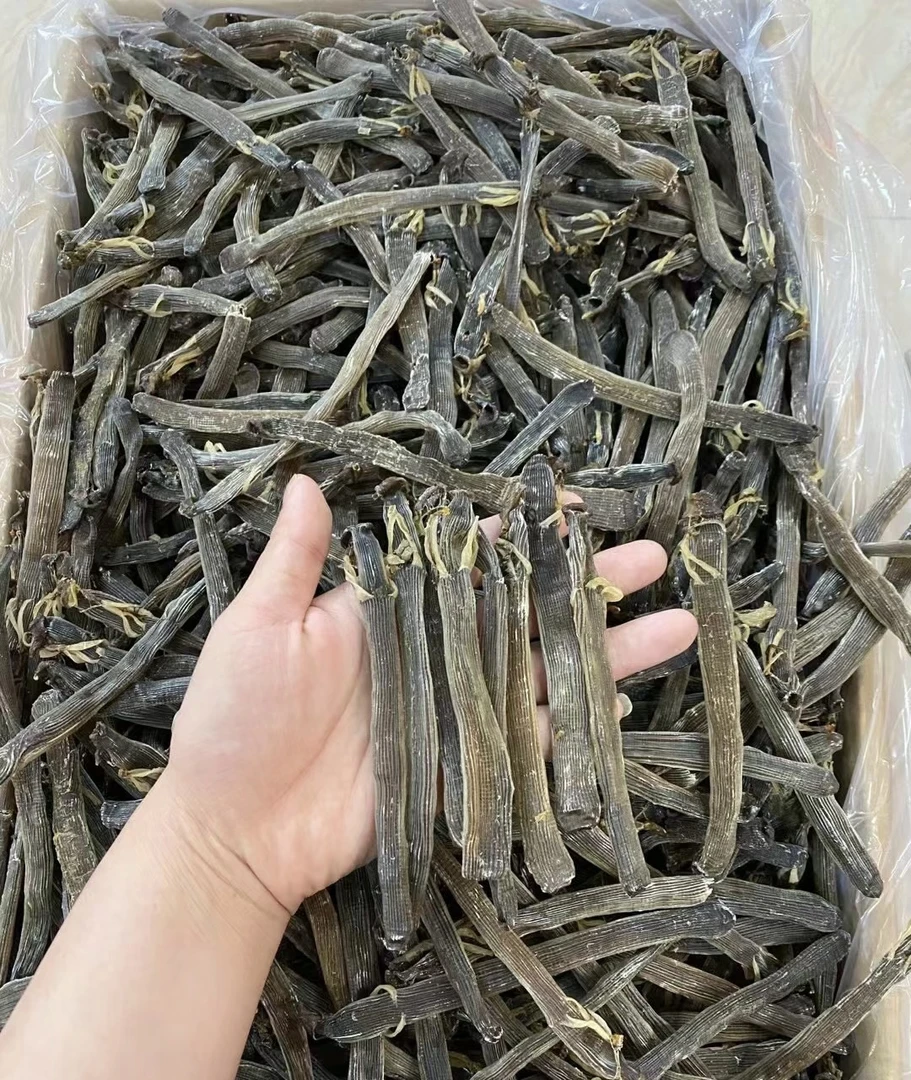 天然晒干黑沙虫大规格北海特产干净无沙煲汤煲粥新鲜