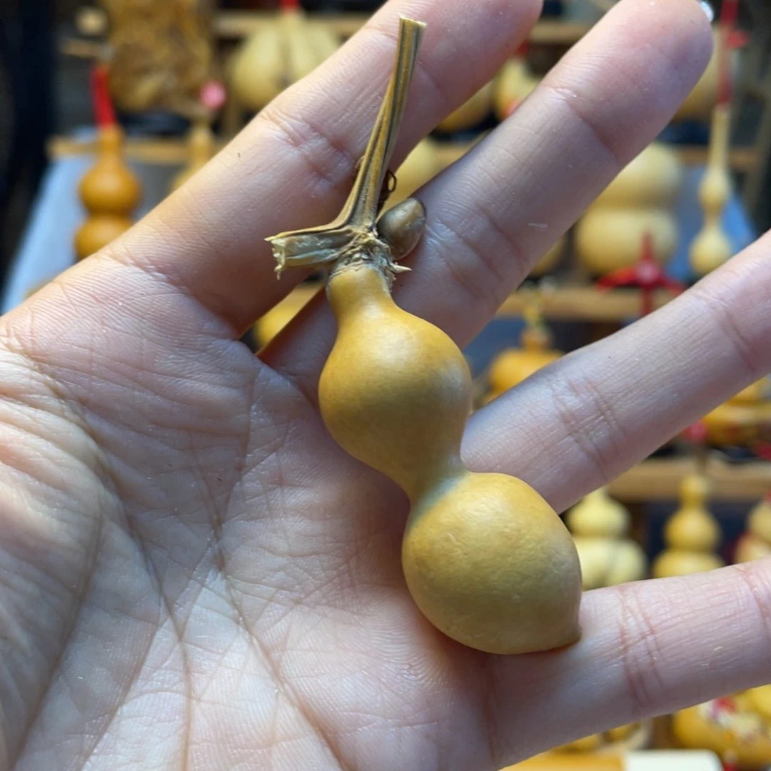 斯****心天然葫芦自然生长期马特