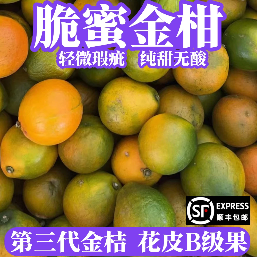脆蜜金柑【花皮青皮】融安金桔第三代纯甜无酸脆皮金桔现摘（桔乡人）