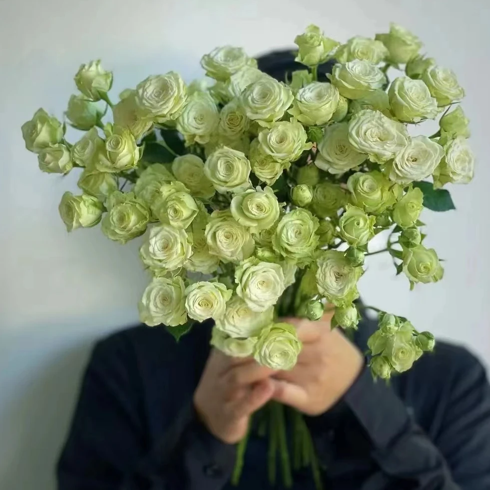 【繁星泡泡】全场任意两单京东包邮（一单要+5元运费）