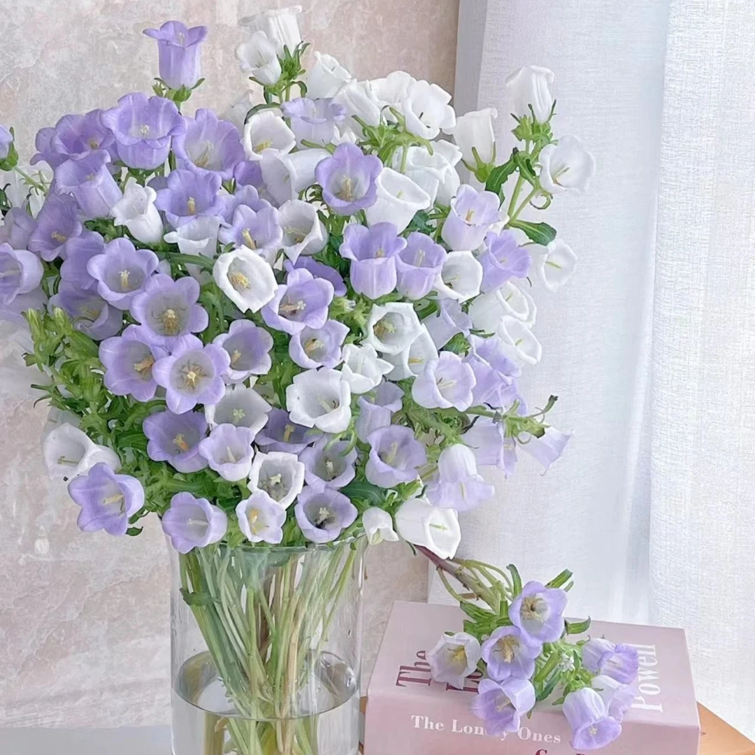 风铃花 花期长蓝色粉色家庭插花送朋友送保鲜剂 零度以下拍保温