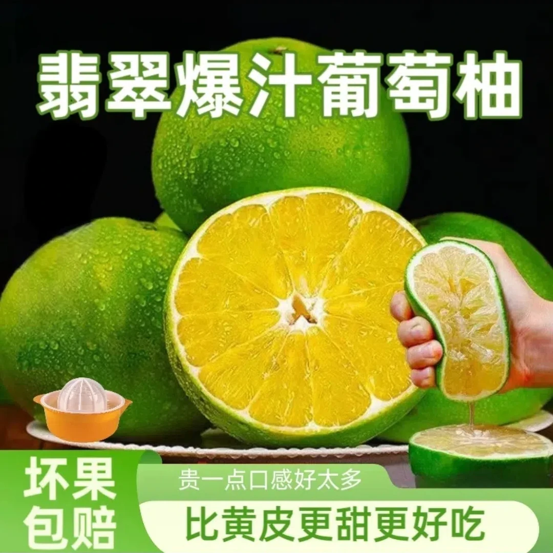 【福建平和】爆汁青皮葡萄柚正宗当季薄皮清甜孕妇水果榨汁现摘现发