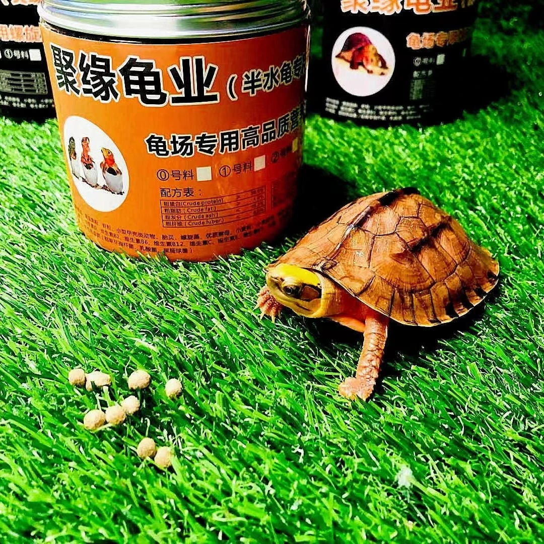 聚缘龟粮水龟半水龟粮蛋龟龟粮营养小型食用免疫优质高品质饲养