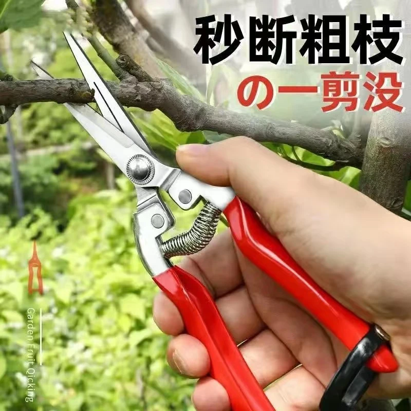 修枝剪摘果剪刀修花枝剪粗枝省力园林剪稀果疏果采摘工具锯齿直头