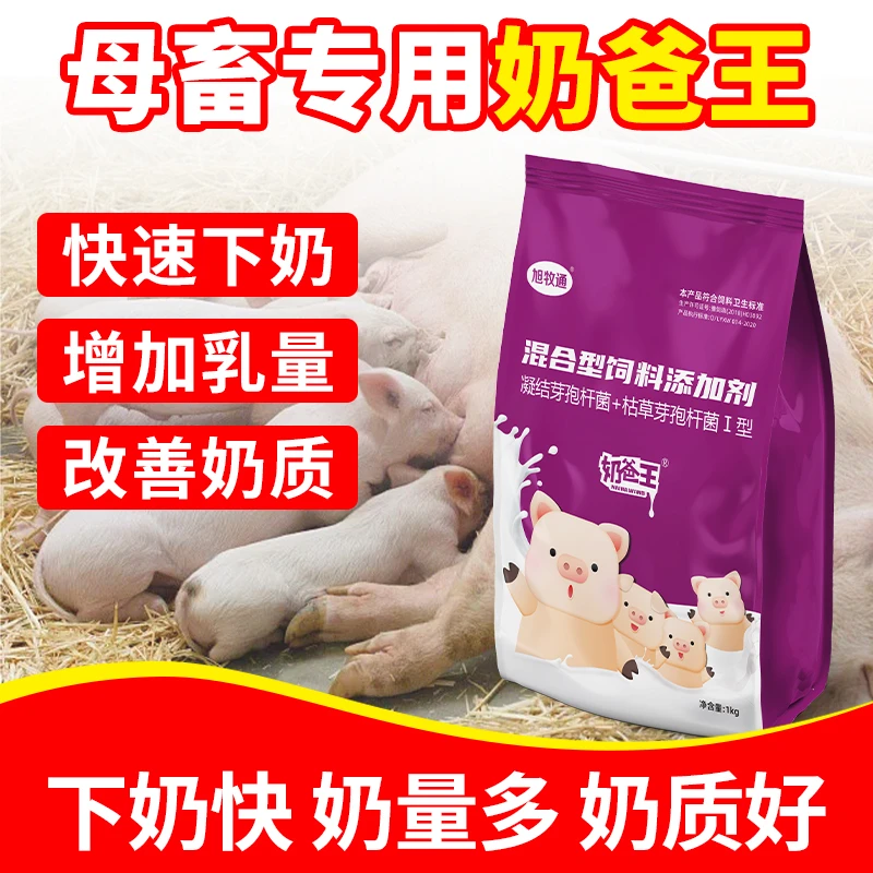 奶爸王催奶下奶霸王厂家直发防小猪拉肚母猪专用添加剂产品
