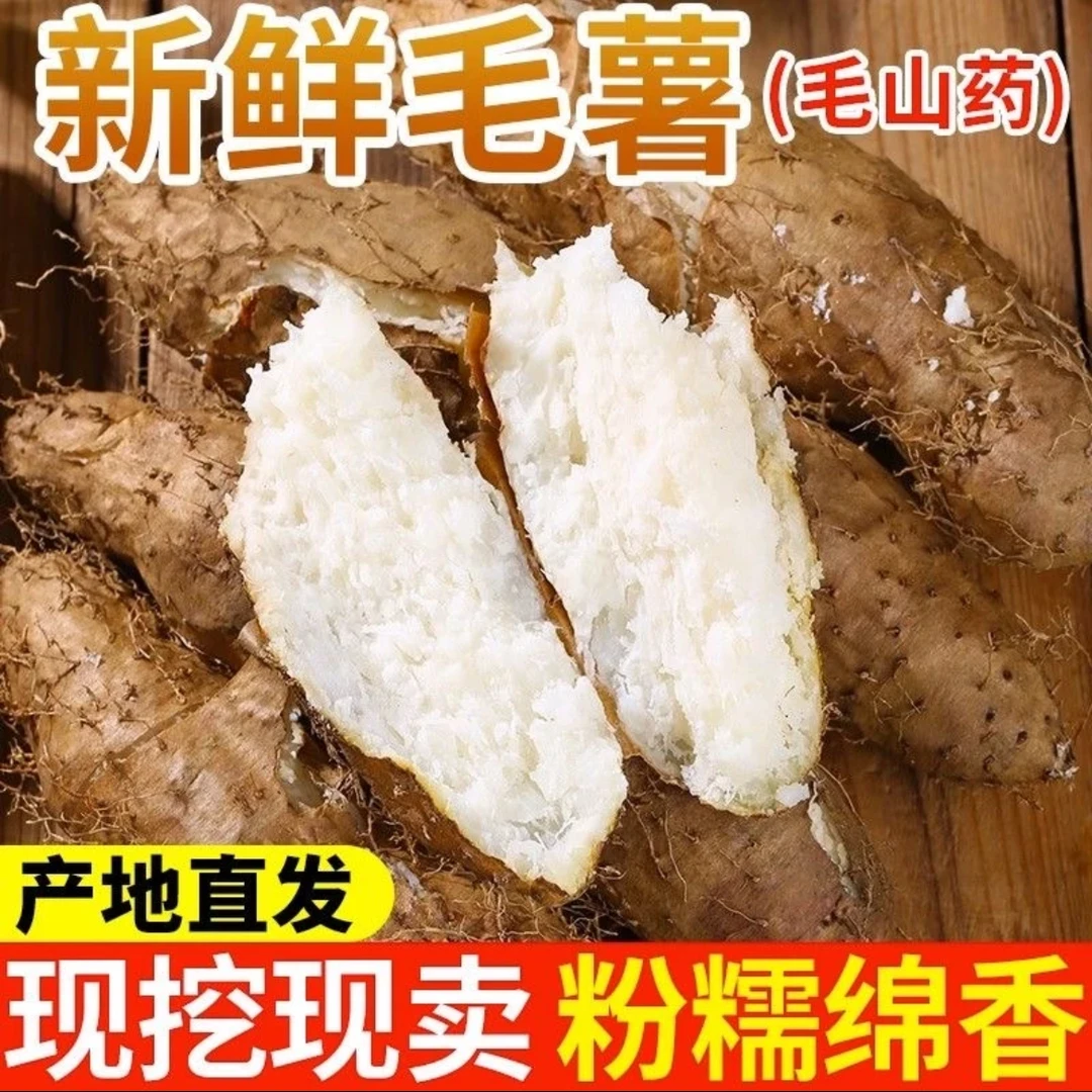 24小时发货/广东山药毛薯现挖现发农家种植新鲜甜薯脚板薯直发