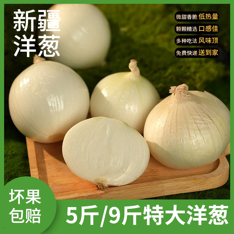 新疆白皮牙子农家自种产品食用白皮洋葱凉拌菜炒菜新鲜蔬菜沙拉脆