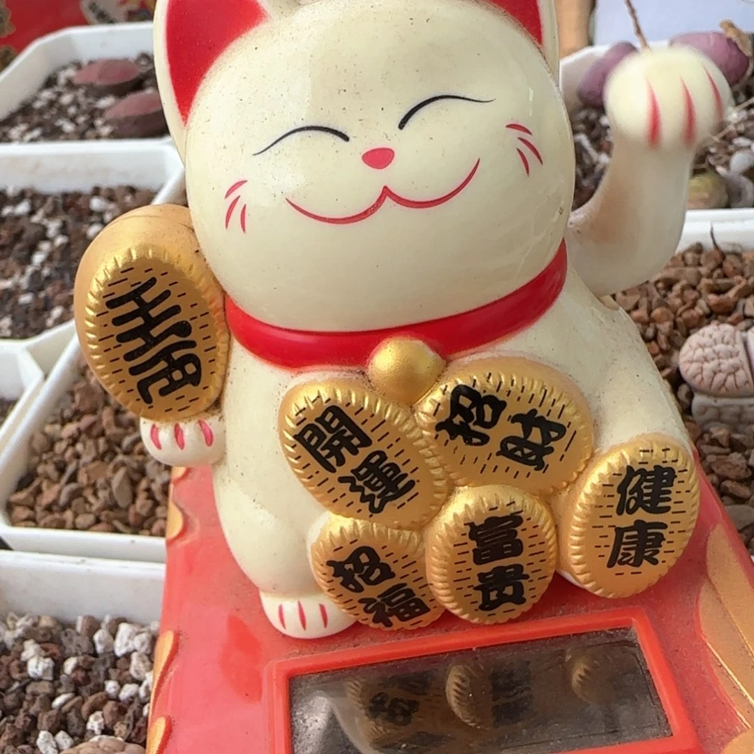 颖*寄养费 半条桌子一年