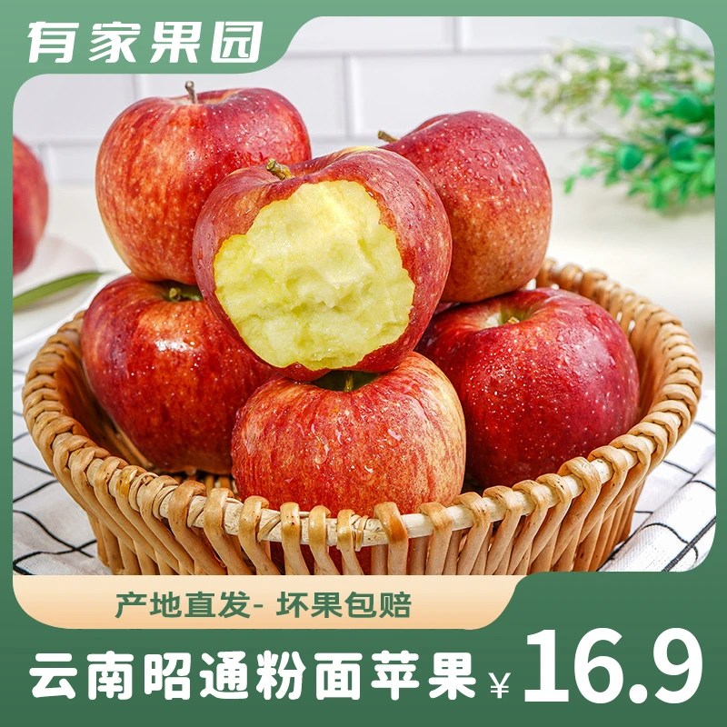 水果蔬菜 > 水果 > 苹果