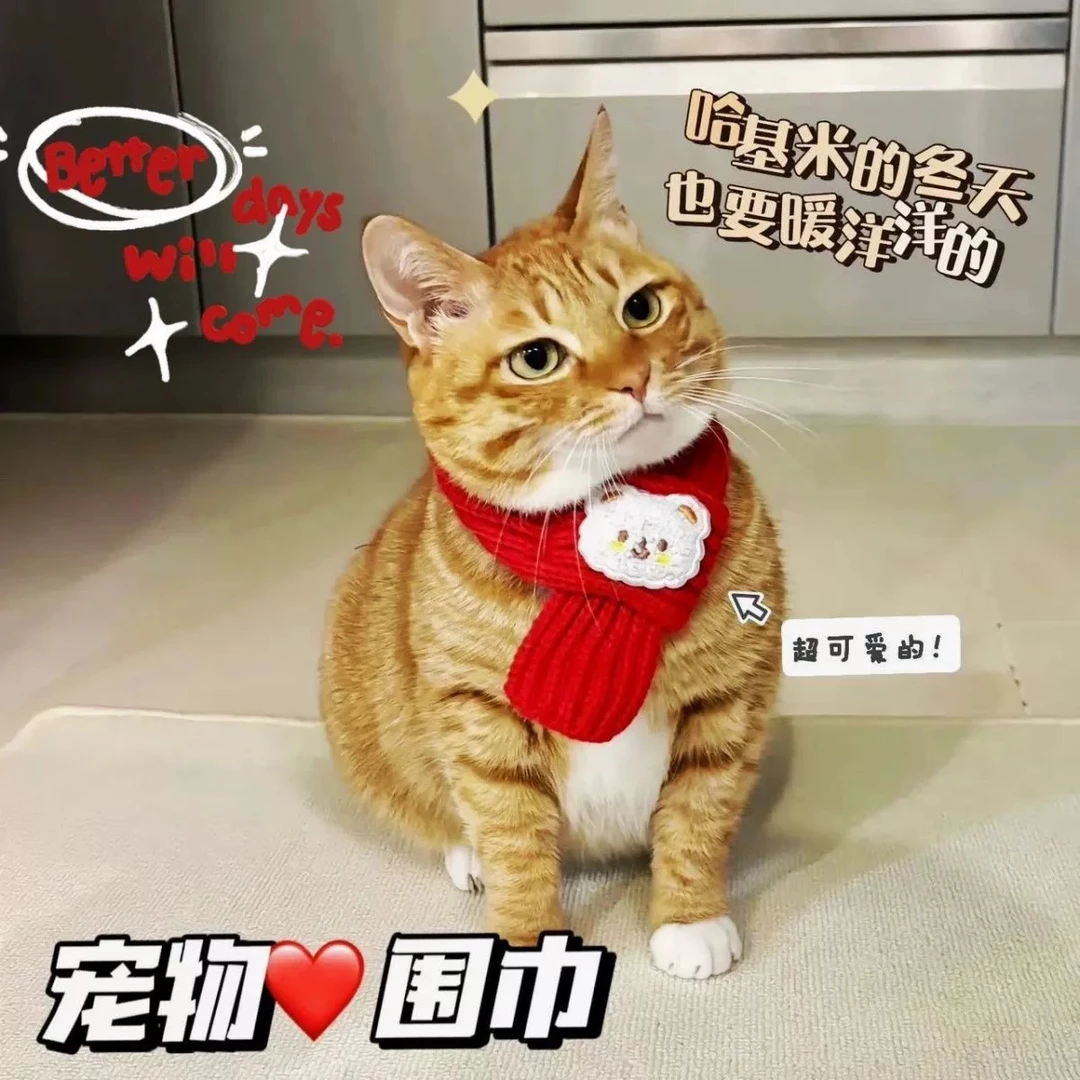 宠物新年猫咪狗狗围巾加绒保暖围脖配饰卡通喜庆金渐层比熊小型犬