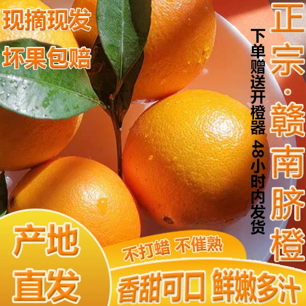 正宗赣南脐橙江西脐橙4.5-19斤装赣南橙子江西赣南脐橙果园直发