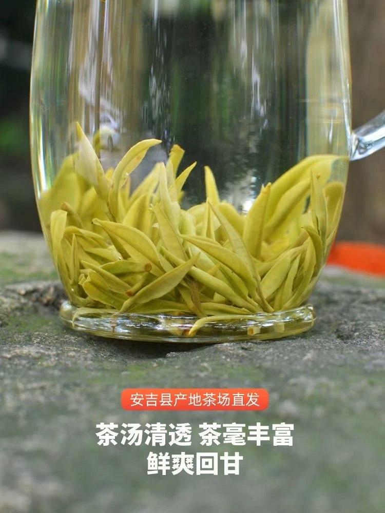 3.27号【开园头采】2024新茶原产地安吉永心白茶明前好茶鲜爽甘甜