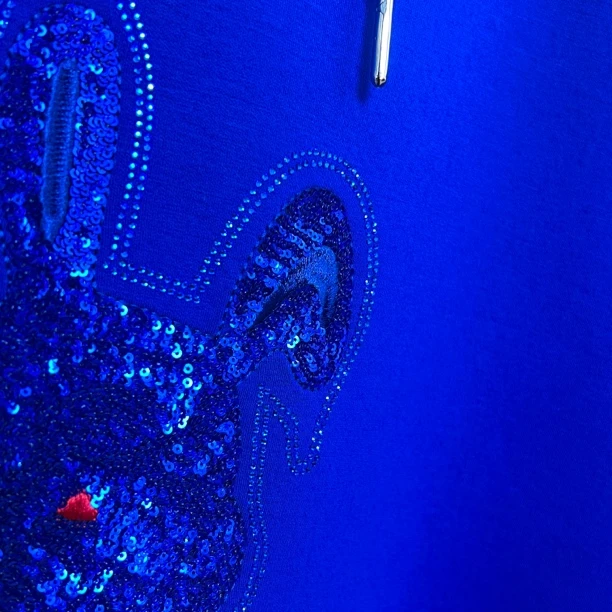 断码EXC938【蓝兔兔】秋冬新款高档重工时髦连帽卫衣洋气穿搭女上衣