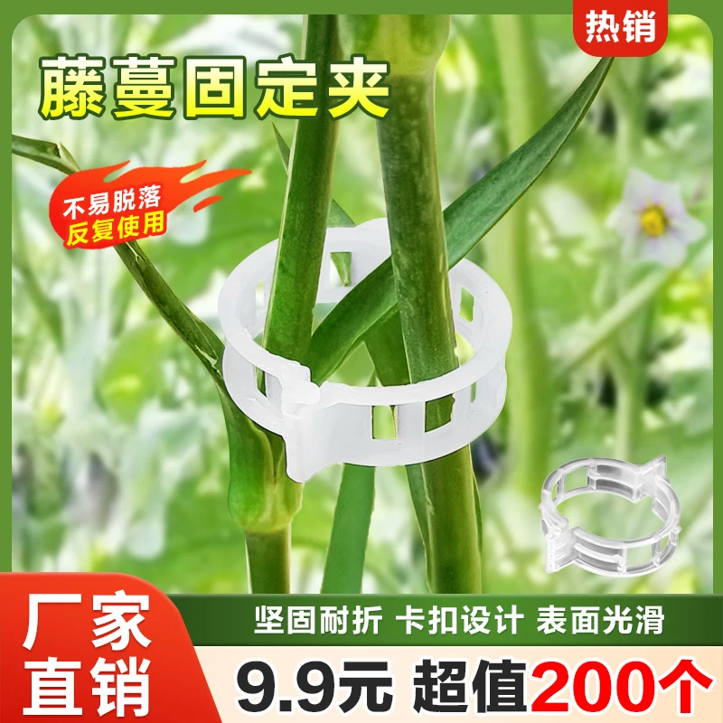 【抢！9.9元200个】农园果蔬藤蔓固定夹 爬藤落秧固定器 园艺必备！