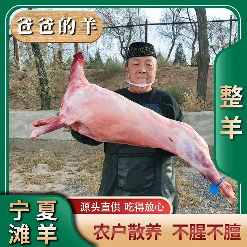 【福利】宁夏滩羊肉-整羊 20斤羊排羊前腿羊后腿羊蝎子新鲜散养