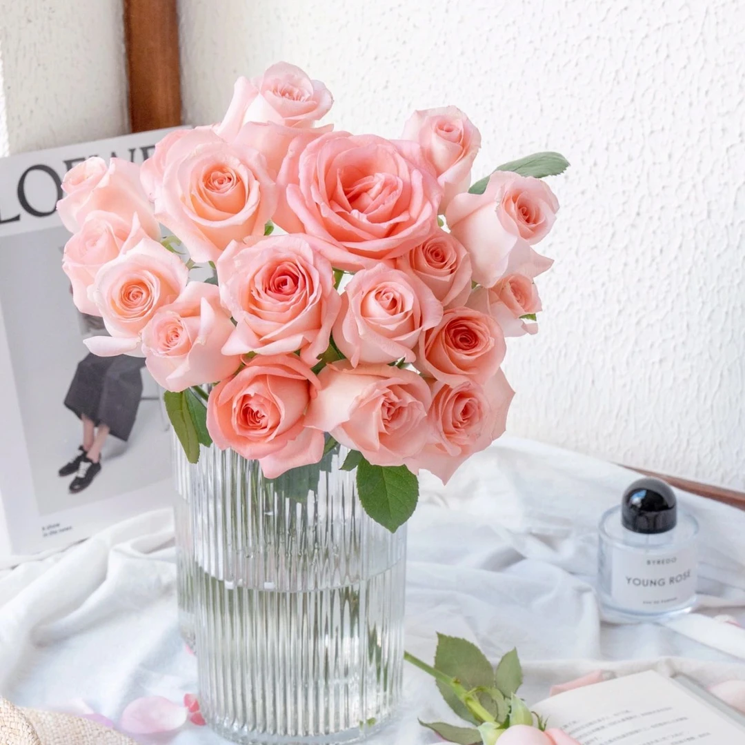 【戴安娜玫瑰】 两单升级空运 鲜花玫瑰 昆明基地直发