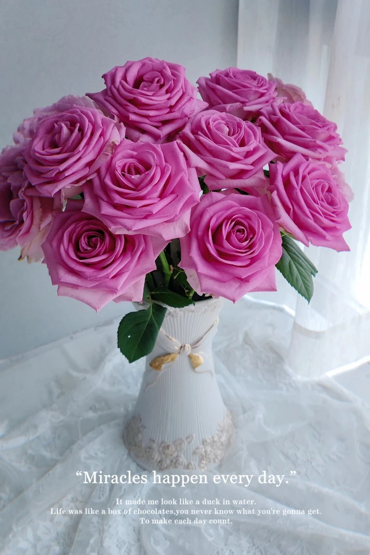 【苏醒玫瑰】 两单升级空运 鲜花玫瑰 昆明基地直发