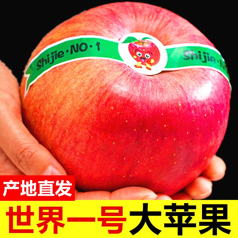 【单果450-550g】世界一号圣诞苹果超大苹果平安夜礼物巨型平安果
