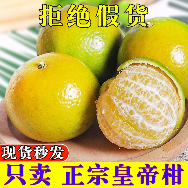 正宗皇帝柑 贡柑新鲜现摘广西桔子当季水果橘子超甜好吃柑橘