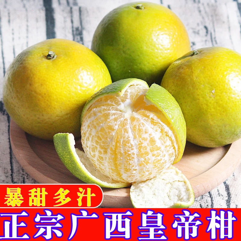 正宗皇帝柑 贡柑新鲜现摘广西桔子 当季水果橘子暴甜多汁