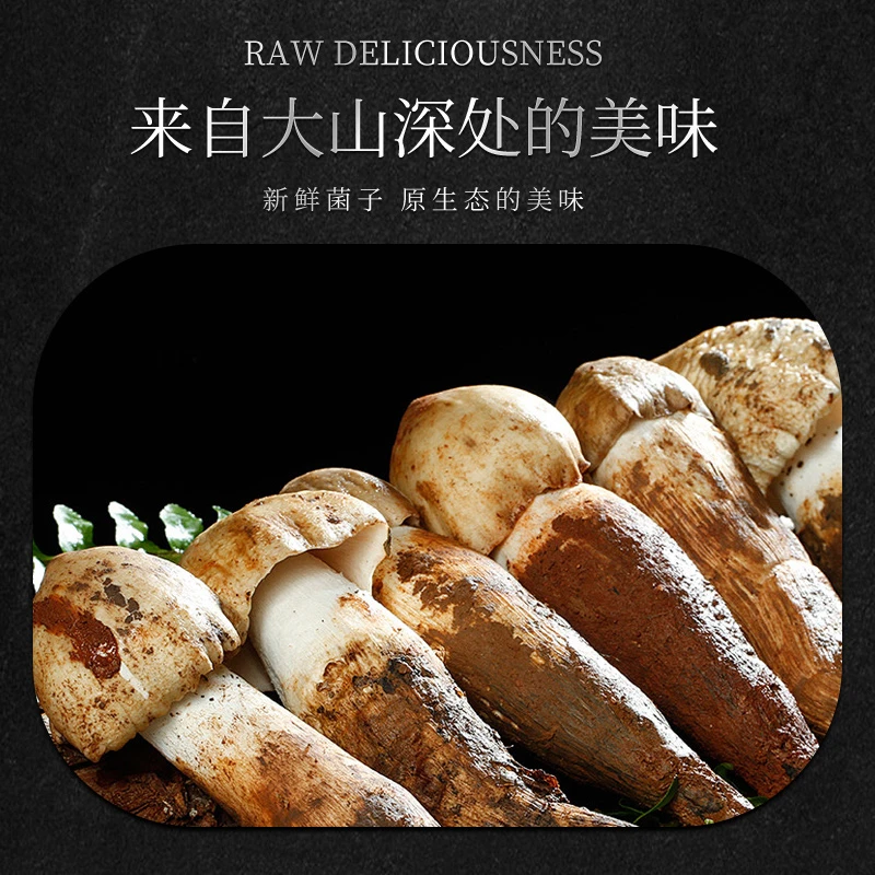 简装直/鲜制云南野生鸡枞菌/野生菌汤包/半成品食材健康加热/中通