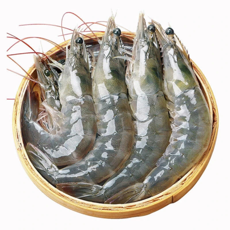 海水大虾当日现货4斤，大个头一斤10-16只，活虾速冻带保护冰发货