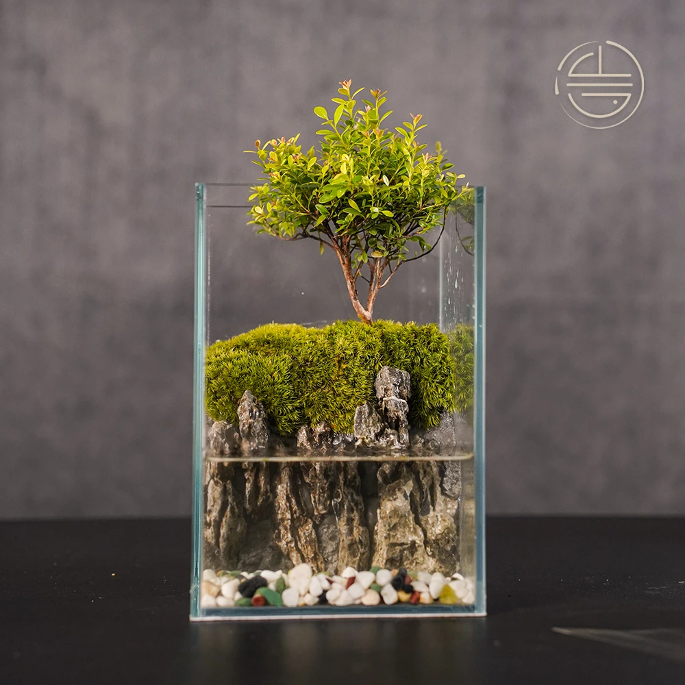 大树—创意绿植成品微景观15*15*20