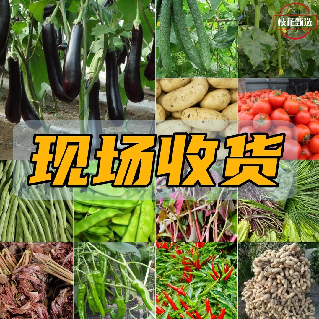 【枝花甄选】蔬菜链接 初级农产品农户土豆 花生 胡萝卜 茄子 黄瓜