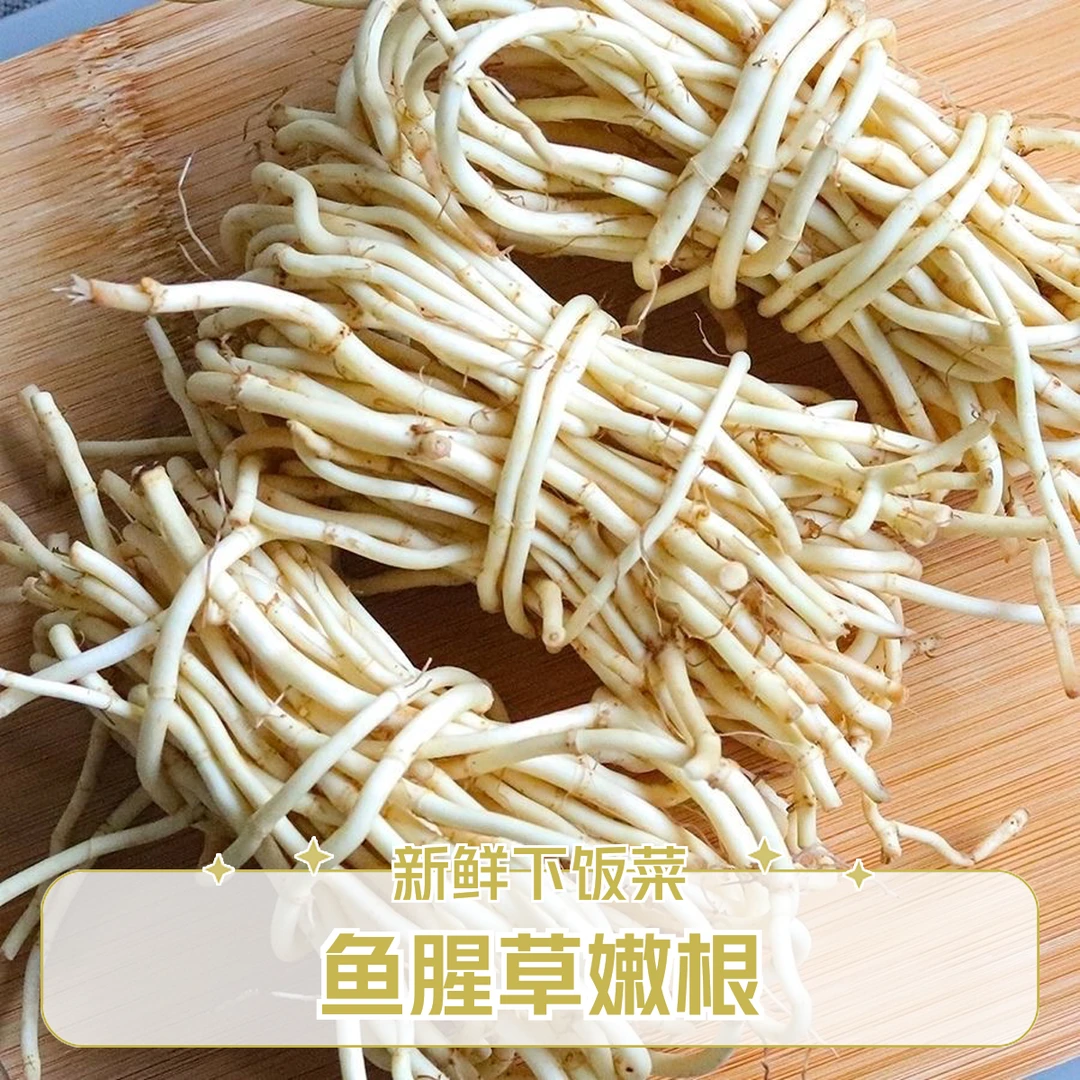 正宗新鲜鱼腥草榴莲折耳根新鲜野菜现挖嫩芽蔬菜湖北农家自种