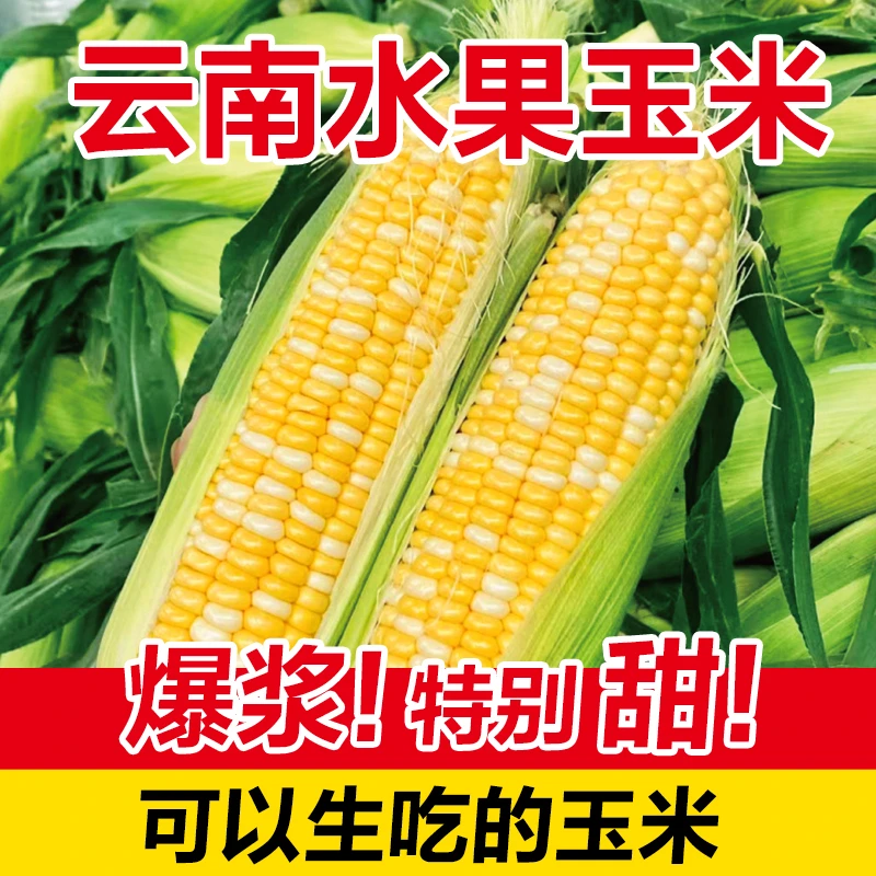 【正大】云南水果玉米5/8斤装