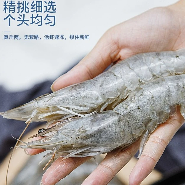 【复购爆款】20/30厄瓜多尔白虾 盐冻海洋活速冻饱满白虾超大海捕