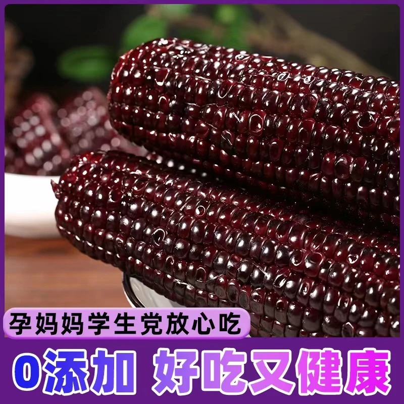 【专享】举铁小厨黑糯玉米23年秋季新绿色食品220g/根粗粮0添加香糯