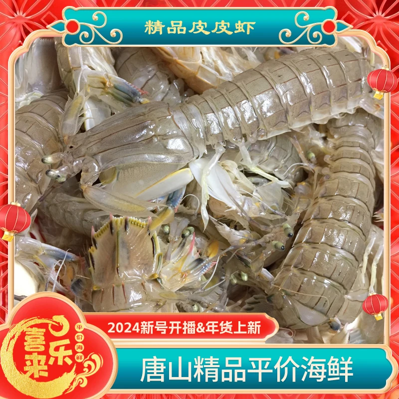 【本地皮皮虾】皮皮虾 唐山 喜来乐海鲜 3-5斤
