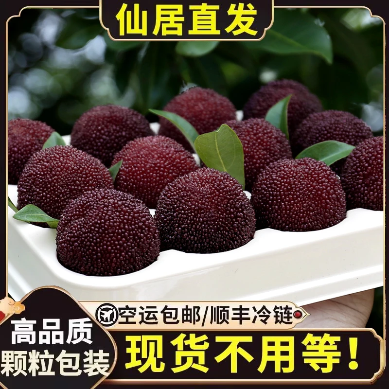 严选正宗仙居东魁杨梅自然熟当季孕妇新鲜水果冷链现摘现发多汁